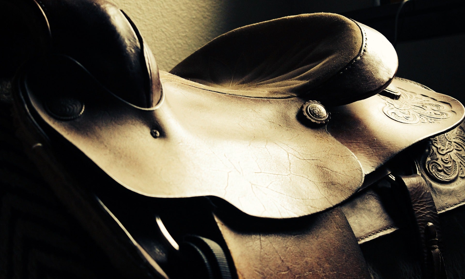 Saddle