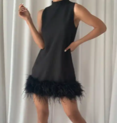Feather Dress Top